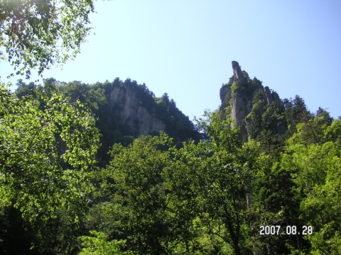 s_PICT0316.jpg